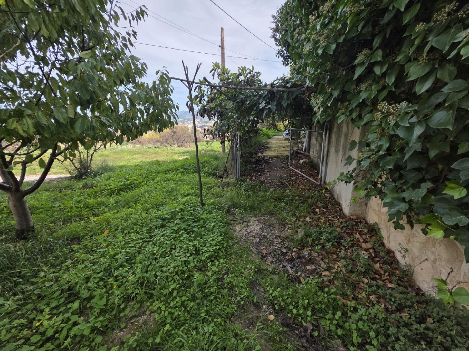  à vendre maison Alcoi 03803 Alcoia 3