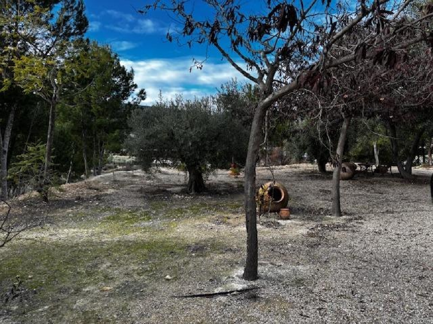 for sale house Aledo Bajo Guadalentín 8