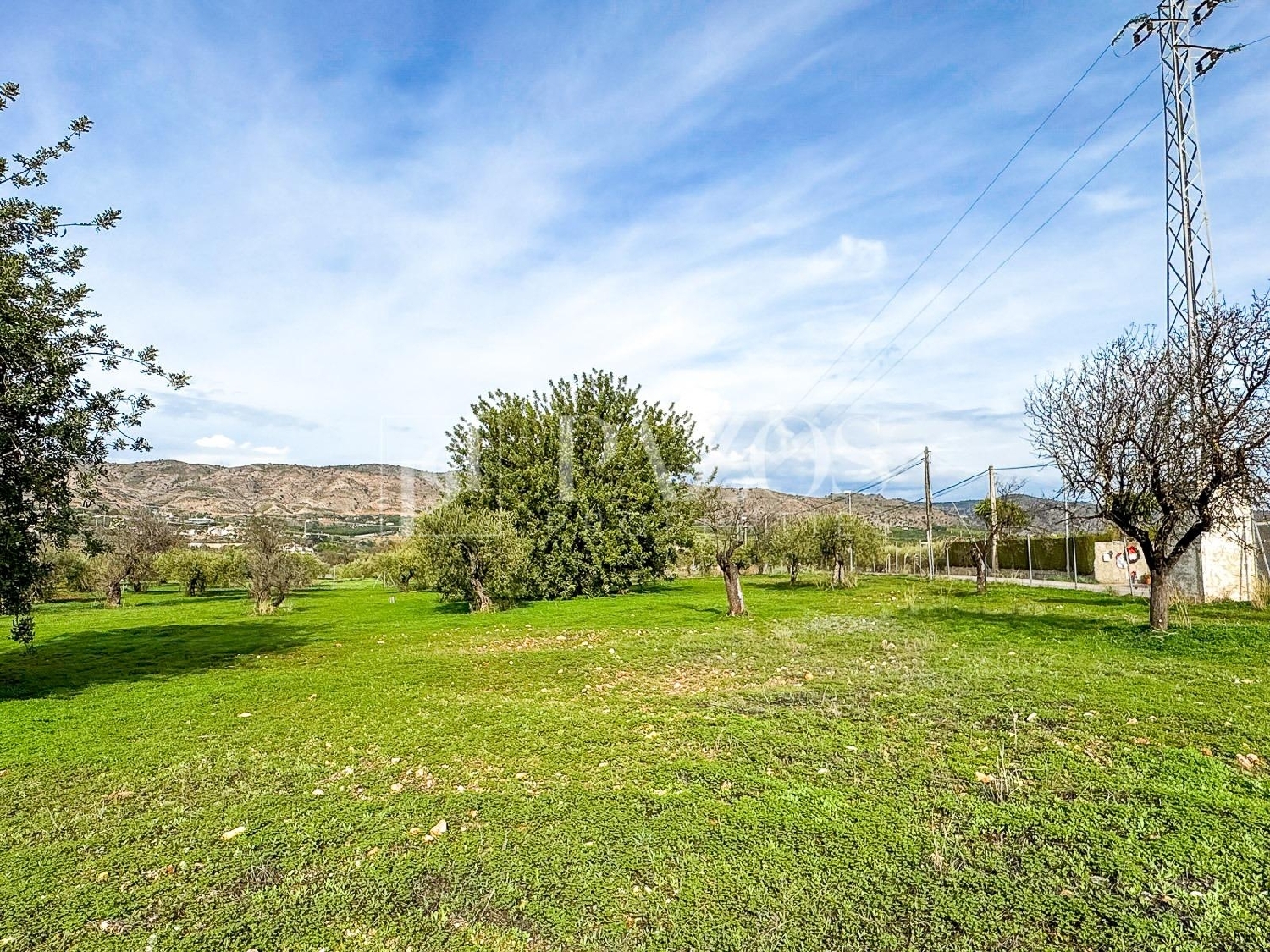  for sale house Alhaurín De La Torre Valle Del Guadalhorce 2