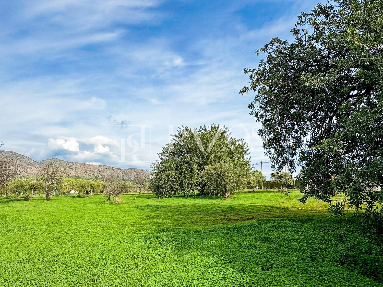  for sale house Alhaurín De La Torre Valle Del Guadalhorce 3