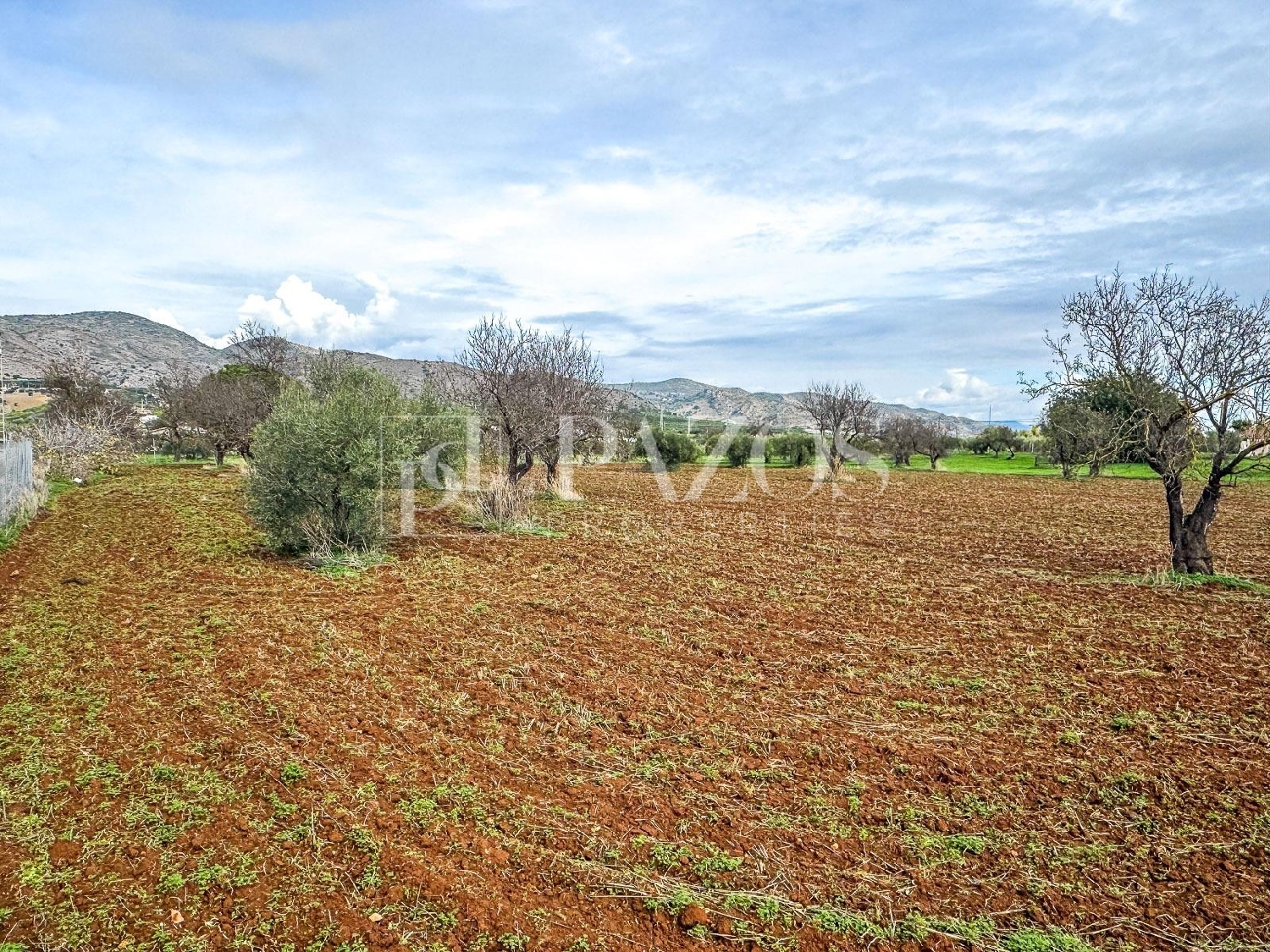  for sale house Alhaurín De La Torre Valle Del Guadalhorce 7