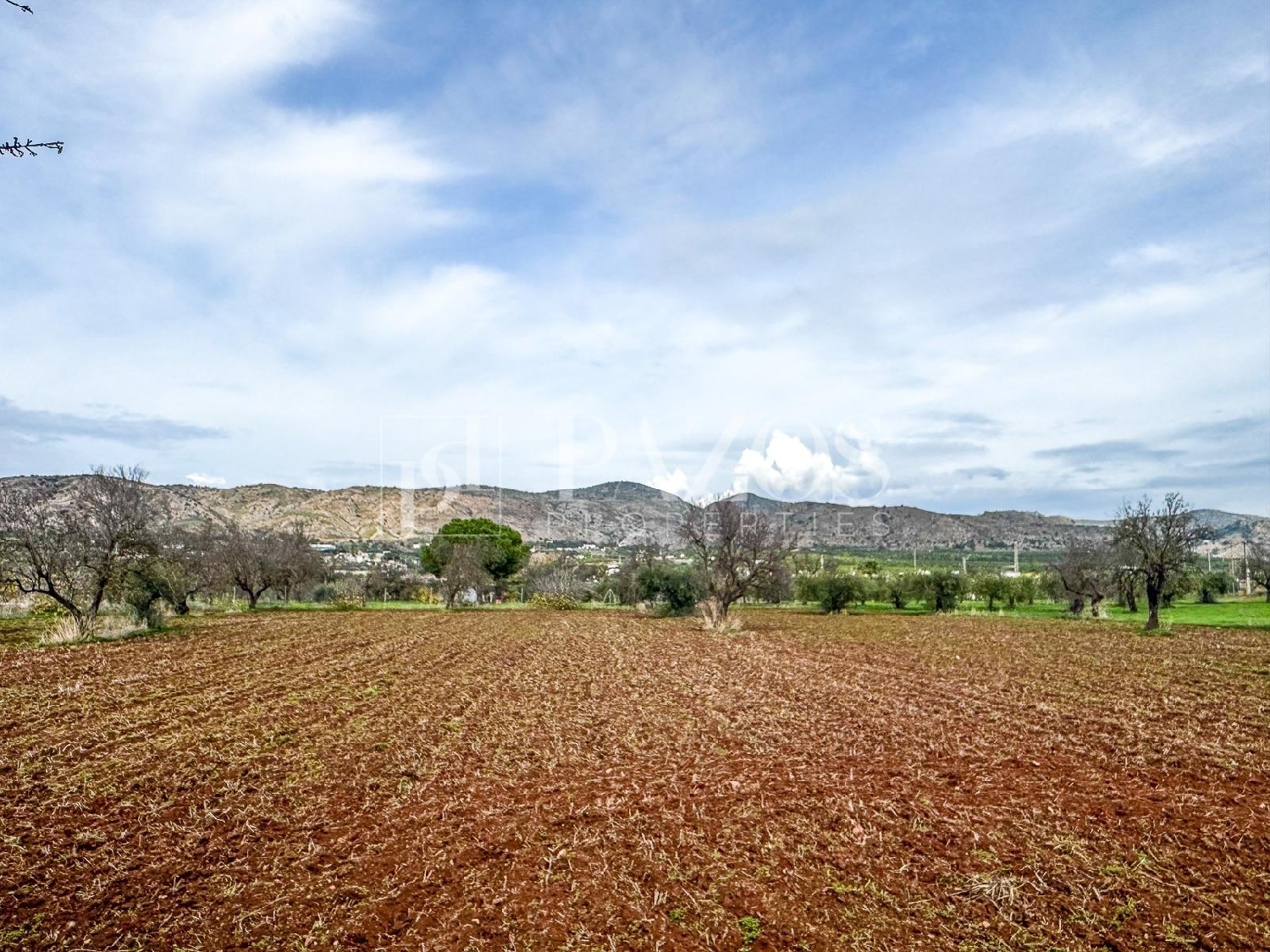  for sale house Alhaurín De La Torre Valle Del Guadalhorce 8