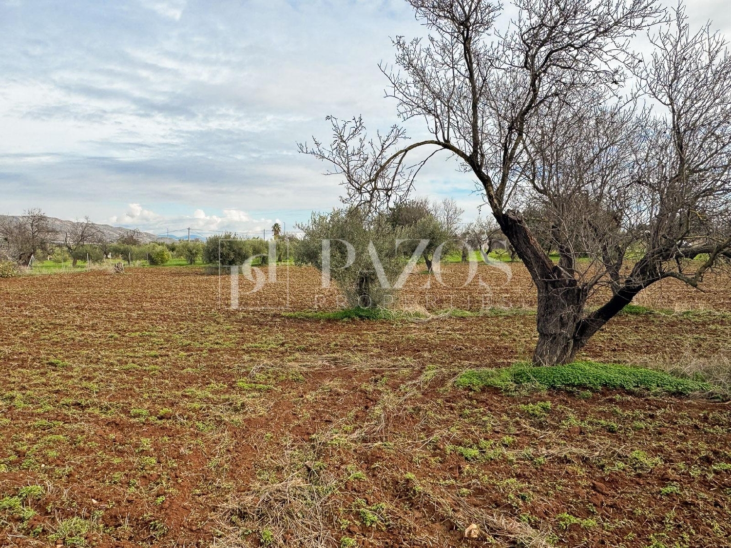  for sale house Alhaurín De La Torre Valle Del Guadalhorce 5