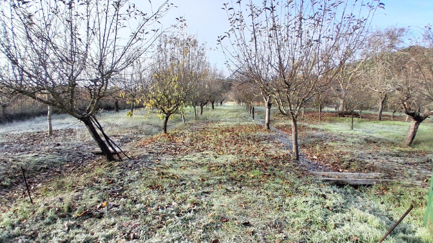  for sale house Almenara De Tormes Tierra De Ledesma 8