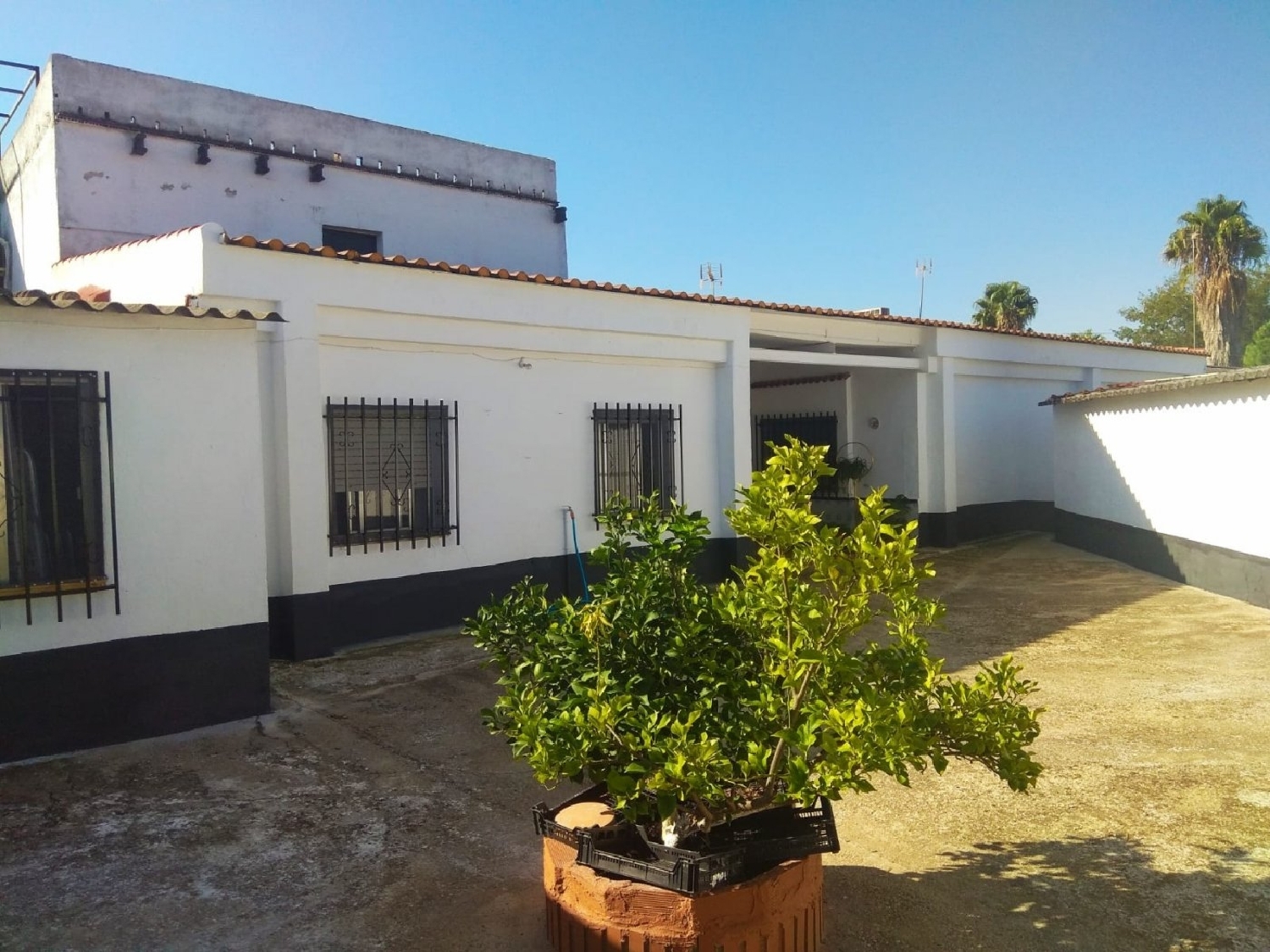 te koop huis Almodóvar Del Río Valle Medio Del Guadalquivir 2