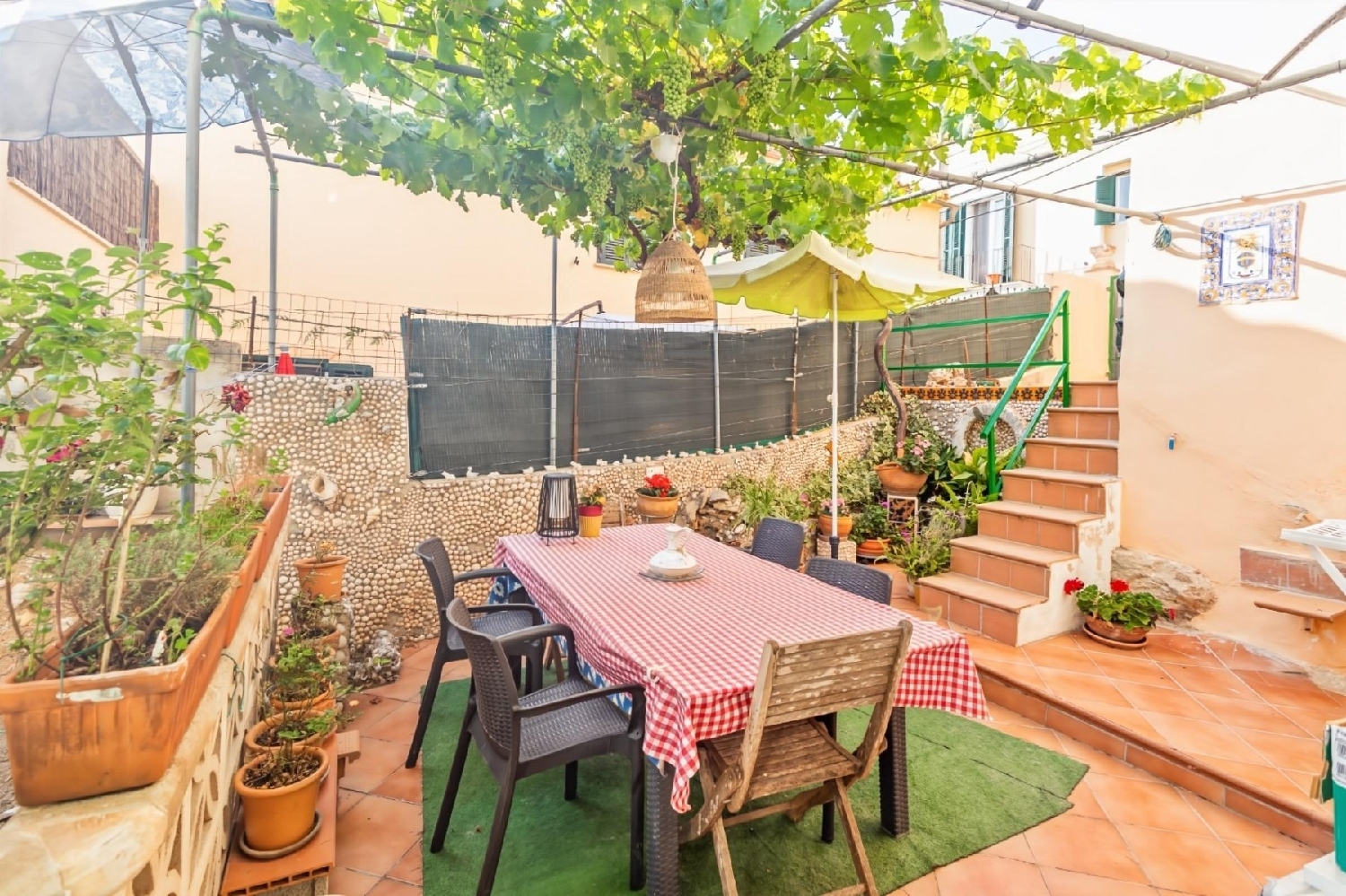  kaufen Haus Andratx Ponent 7