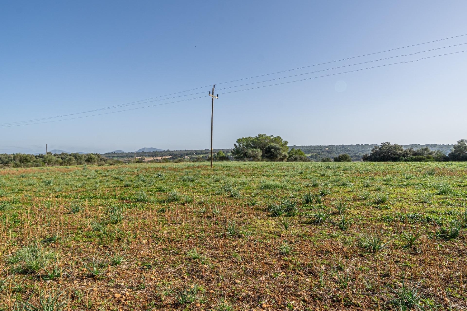  te koop huis Ariany Pla (Es) 8