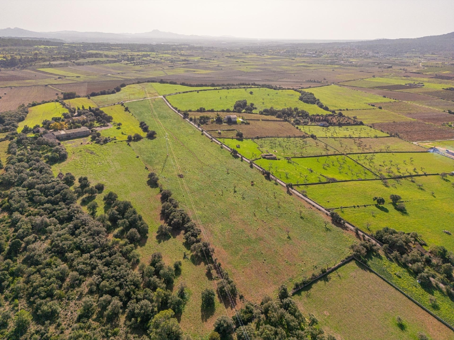  te koop huis Ariany Pla (Es) 3