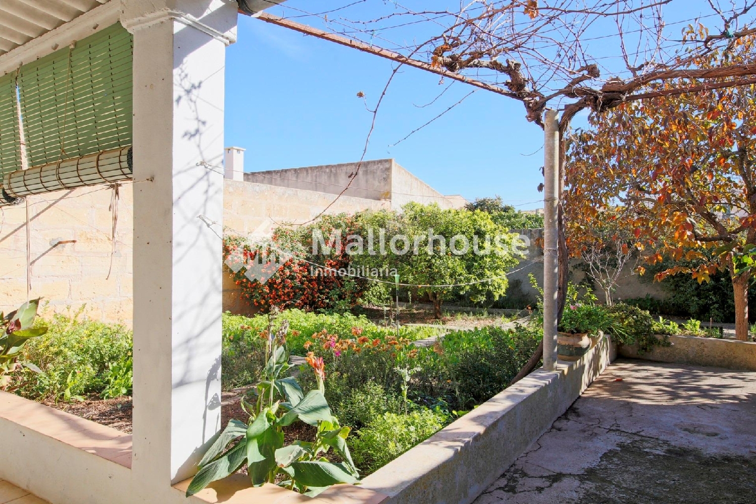  en venta casa Ariany Pla (Es) 7