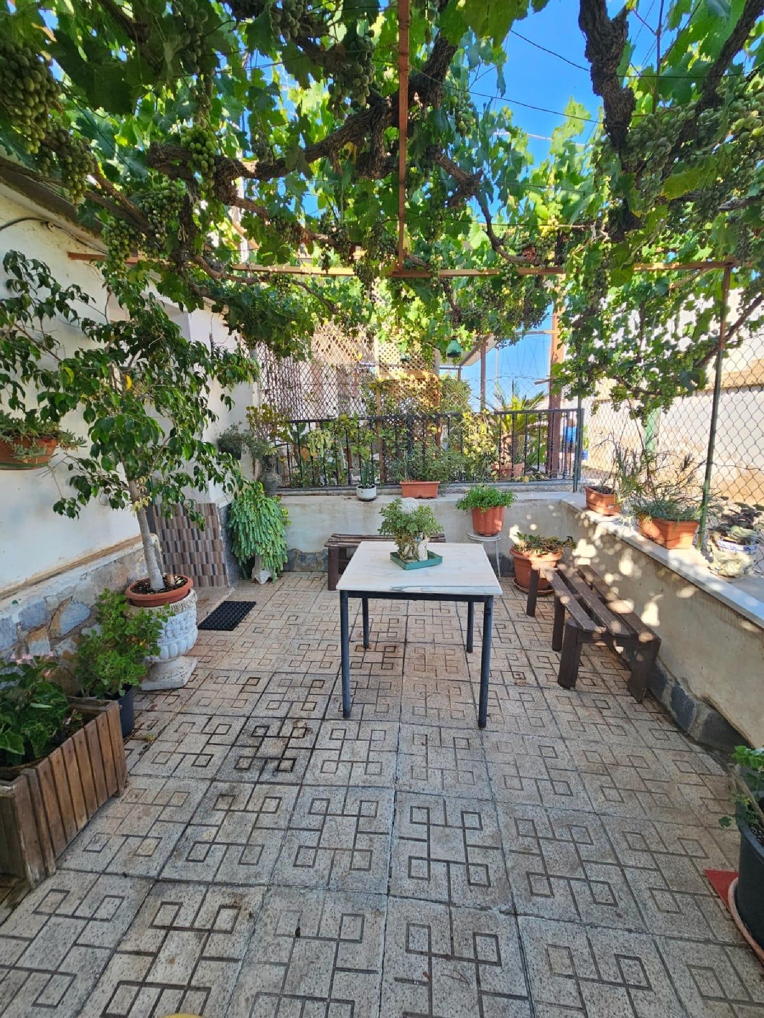 te koop huis Avileses Huerta De Murcia 3