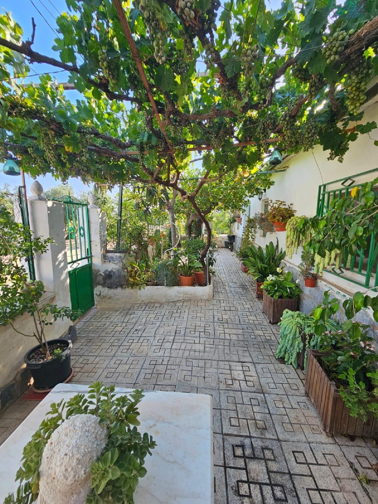 te koop huis Avileses Huerta De Murcia 2