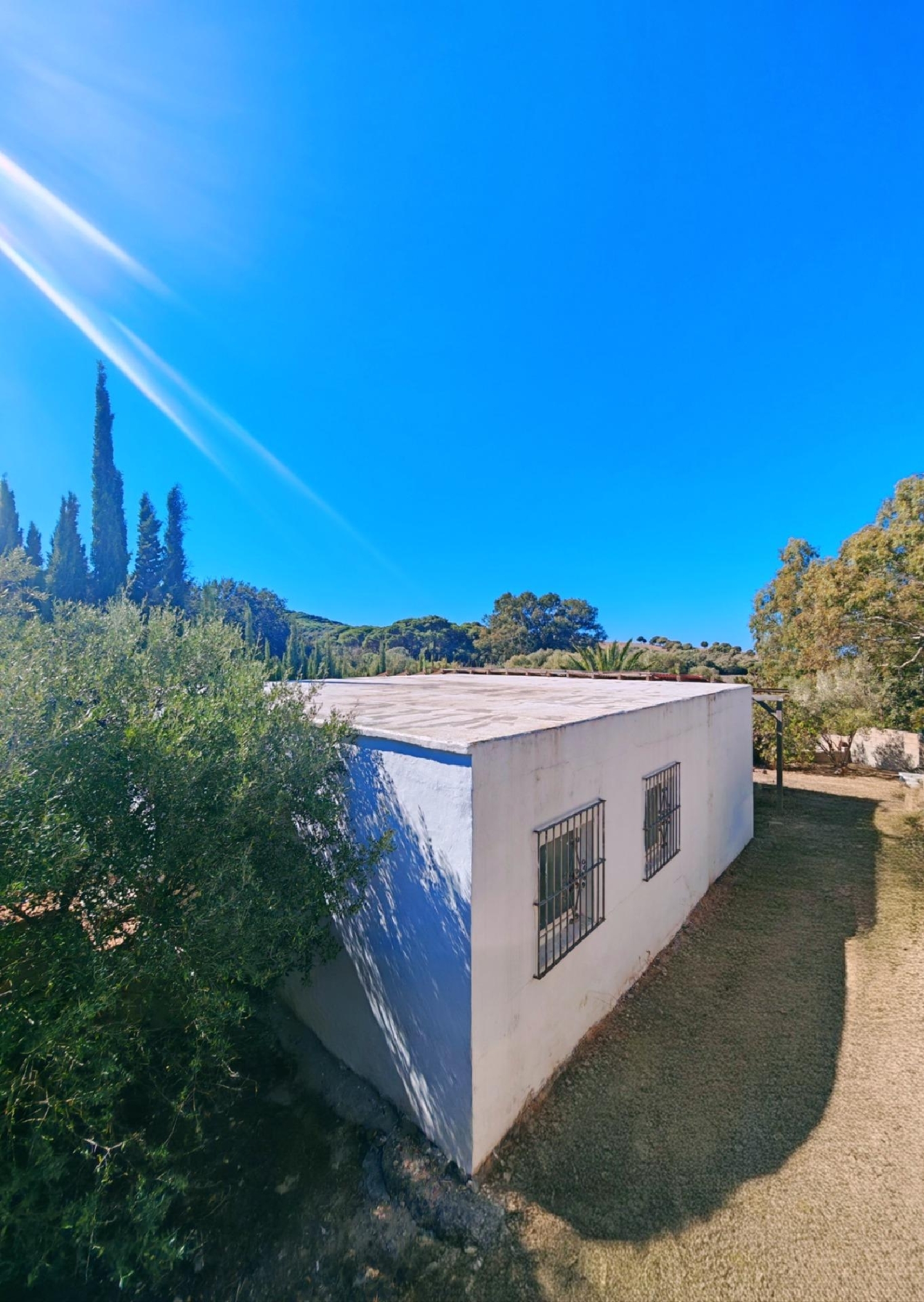 à vendre maison Barbate Janda (La) 3