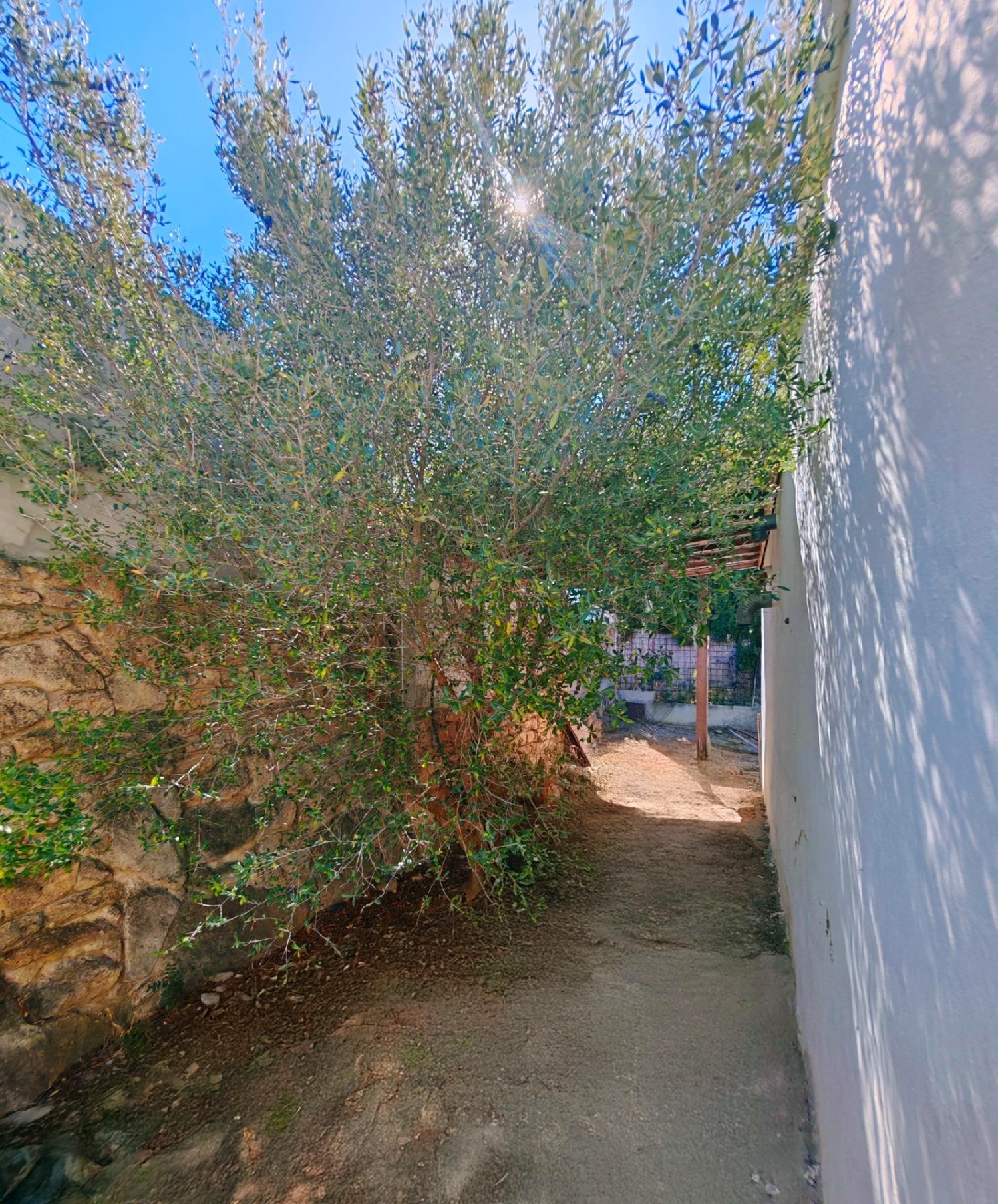 à vendre maison Barbate Janda (La) 8