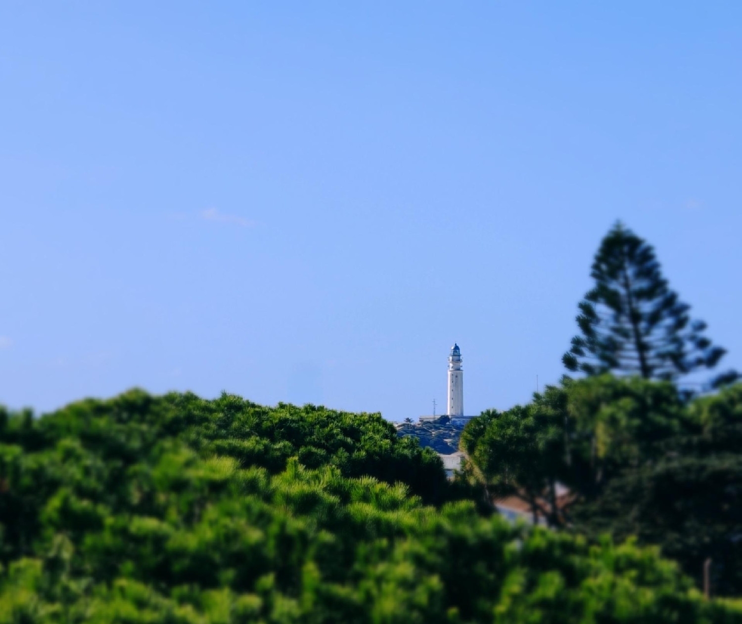 à vendre maison Barbate Janda (La) 3