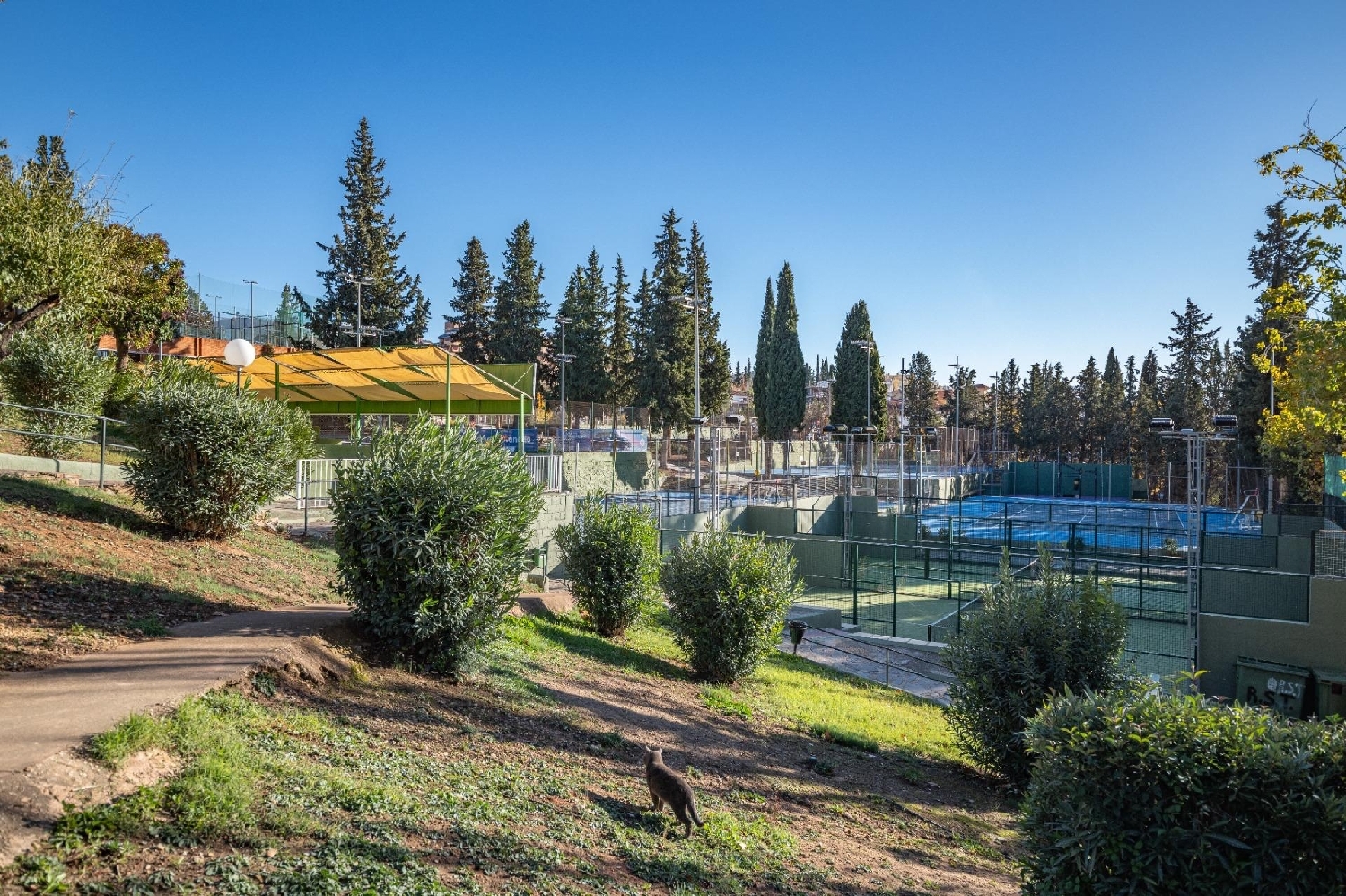  en venta casa Barrio De Granada Alacantí 4