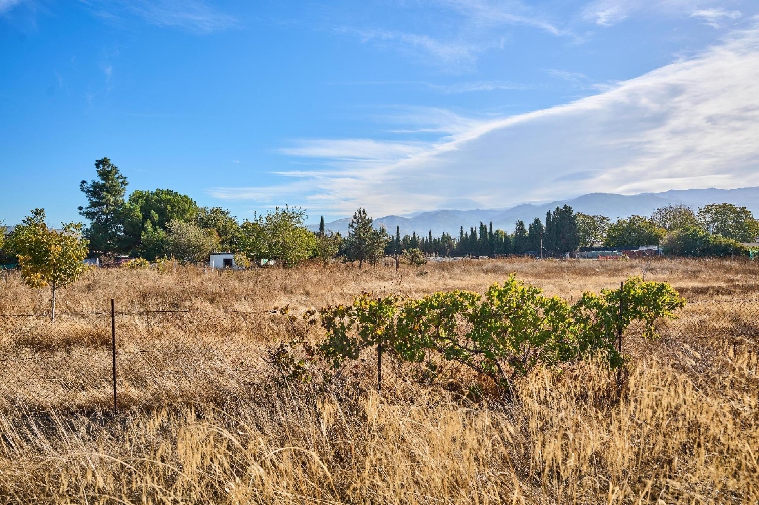  till salu hus Barrio De Granada Alacantí 2