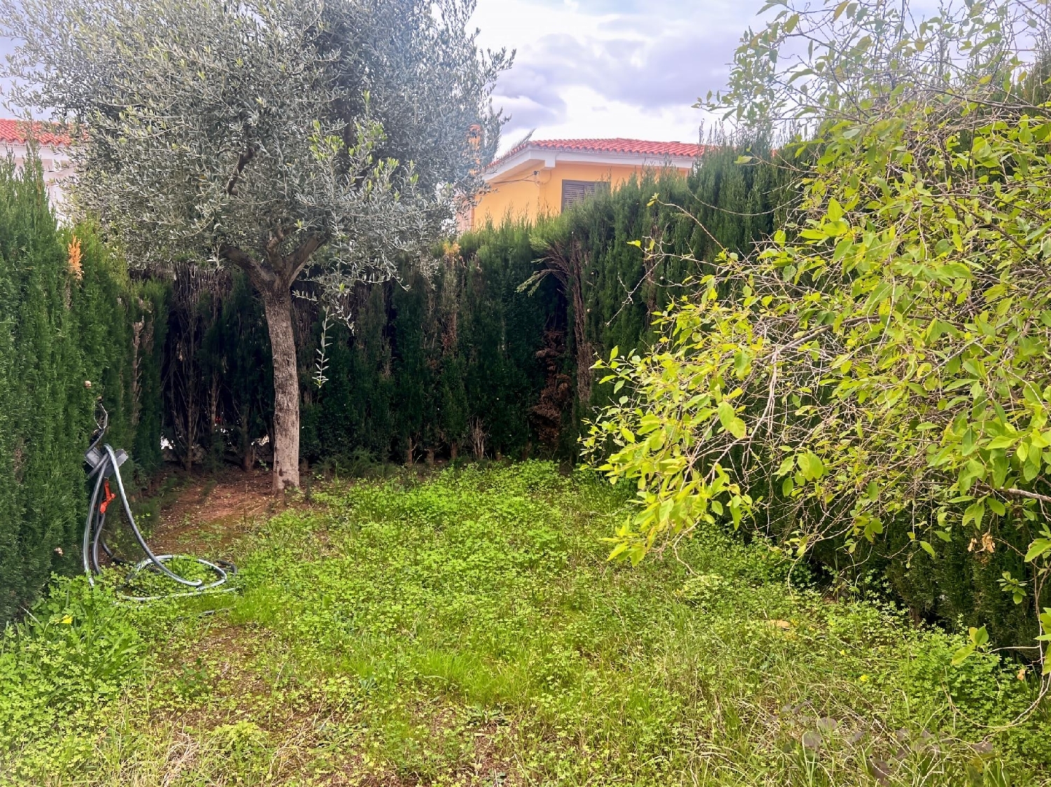  à vendre maison Benicasim Plana Alta 6