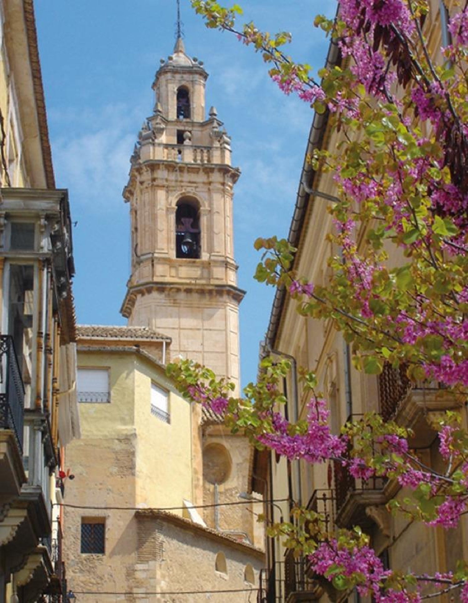 en venta casa Biar Alt Vinalopó 2