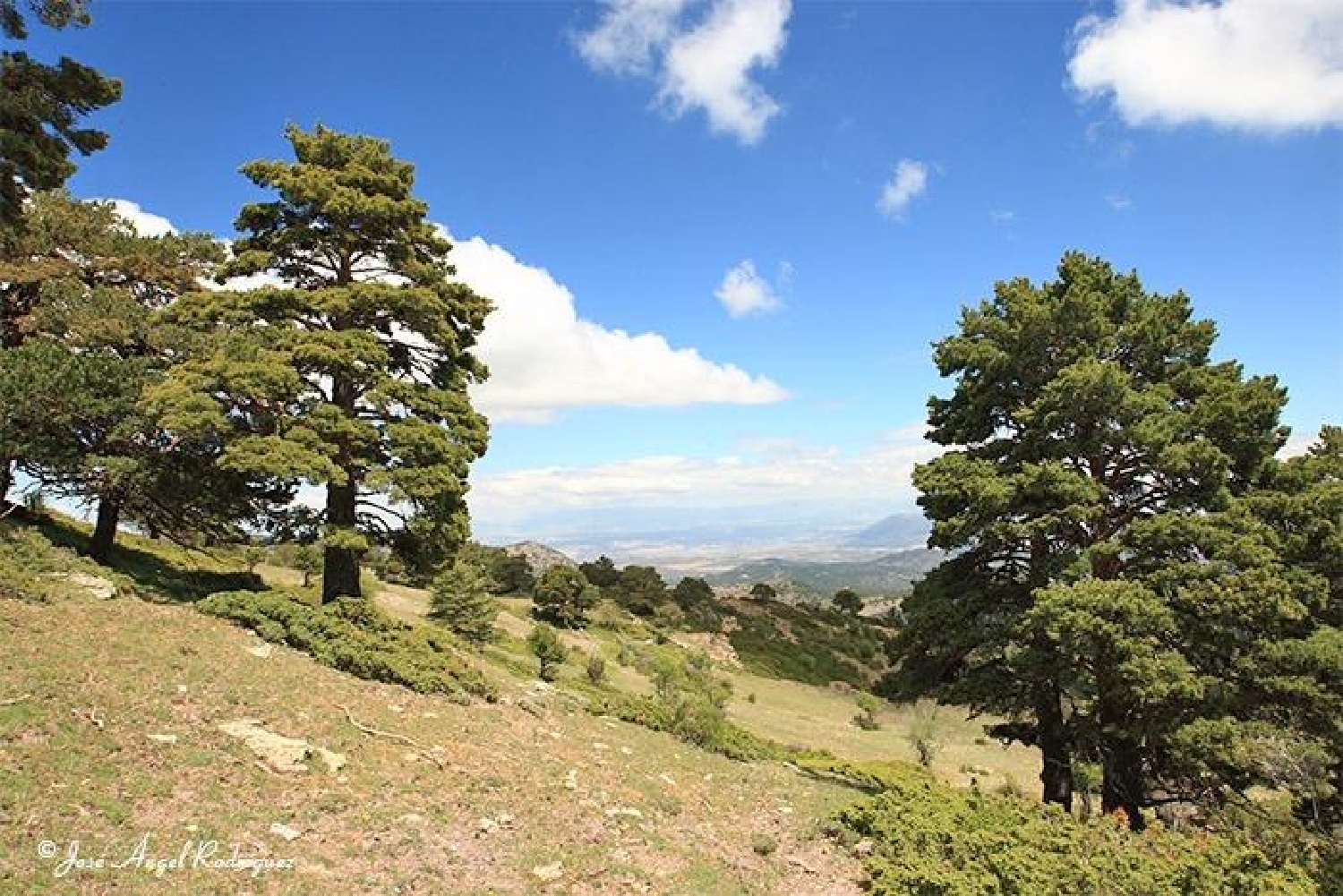  en venta casa Biar Alt Vinalopó 1