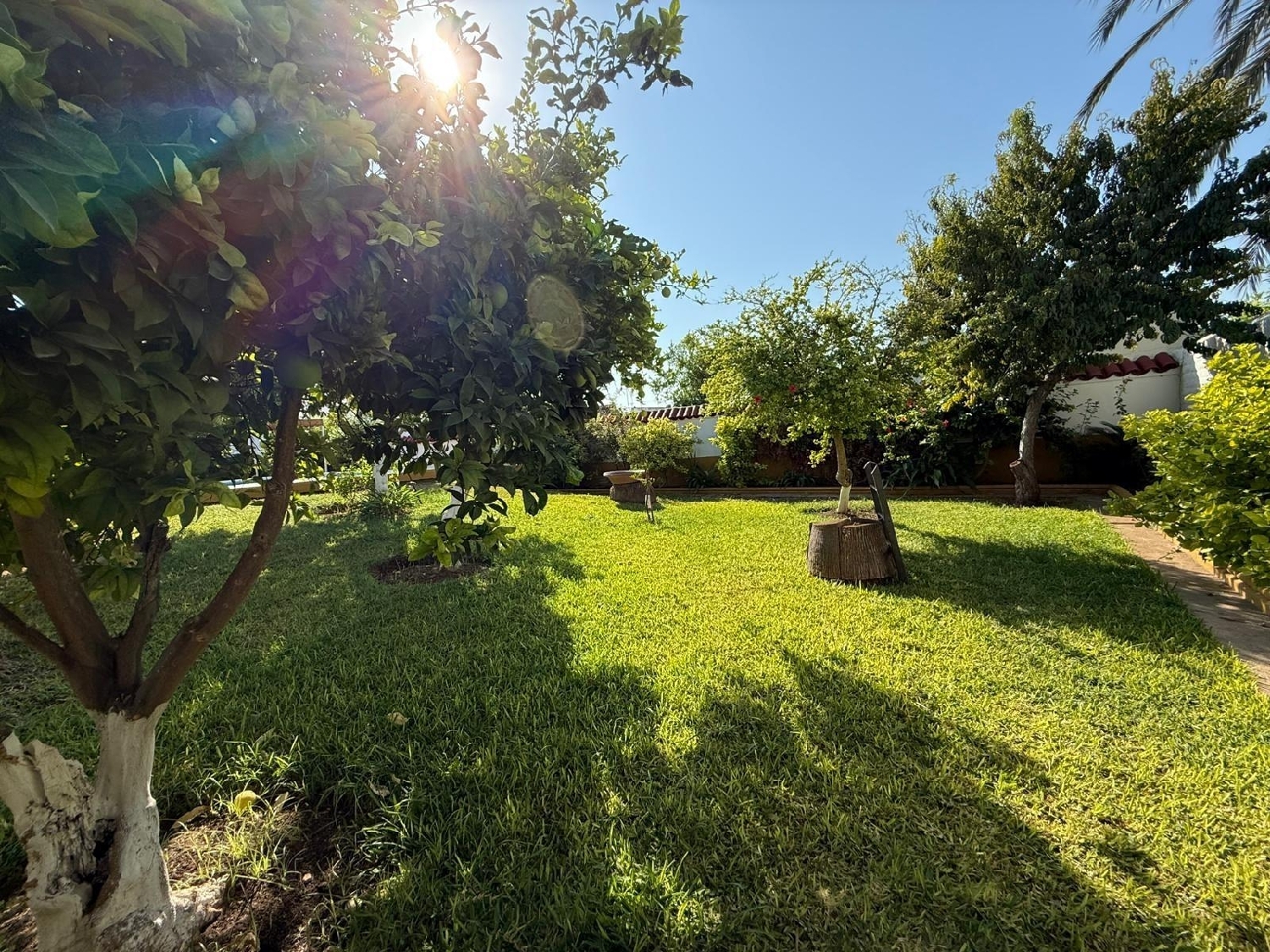  à vendre maison Bollullos De La Mitación Aljarafe 5