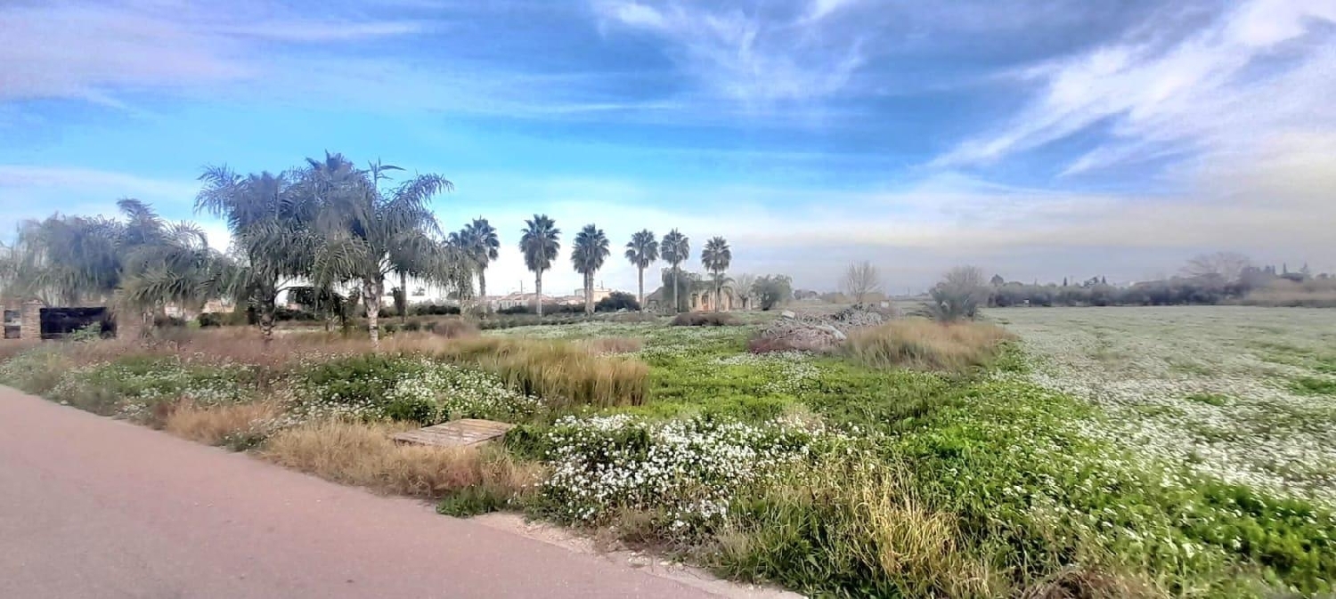  te koop huis Callosa De Segura Baix Segura 5