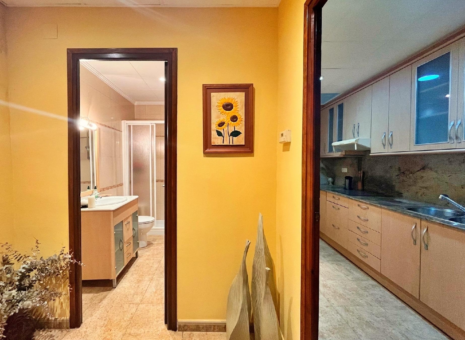  en venta casa Caseres Terra Alta 8