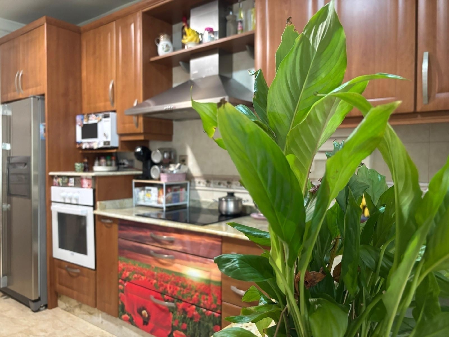  kaufen Haus Ceutí Vega Media Del Segura 6