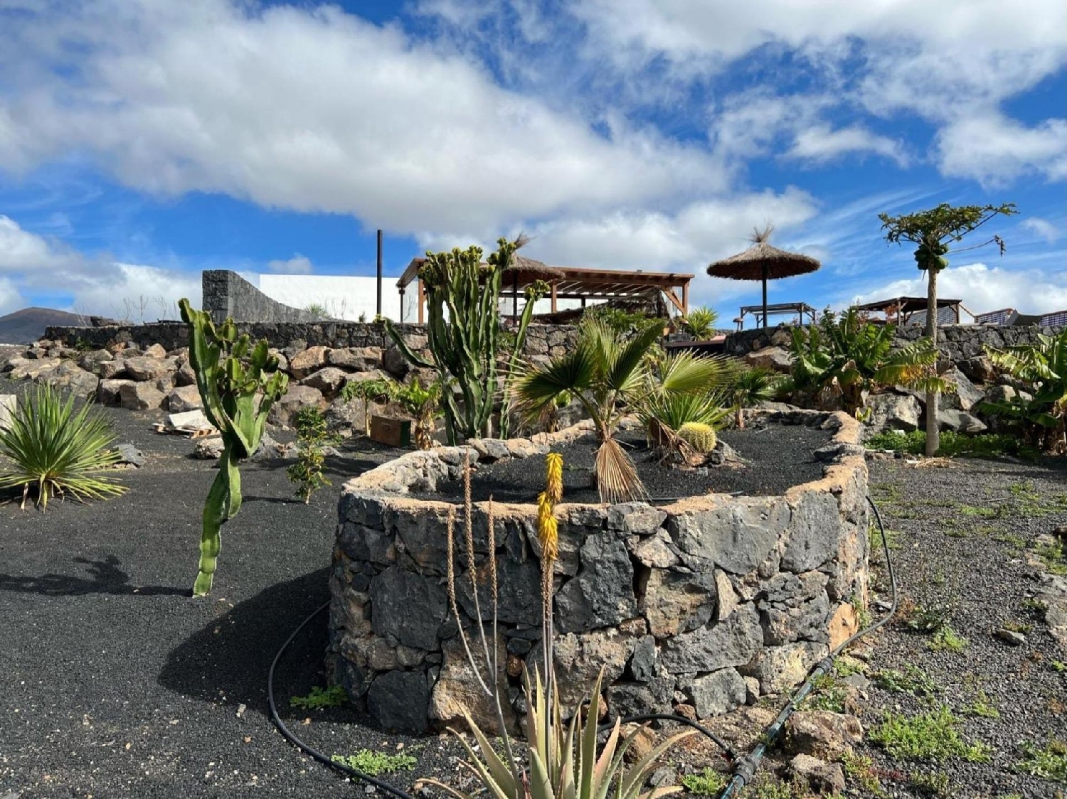  à vendre maison Correntias Altas Baix Segura 8