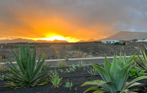 Correntias Altas Baix Segura maison foto 6333888