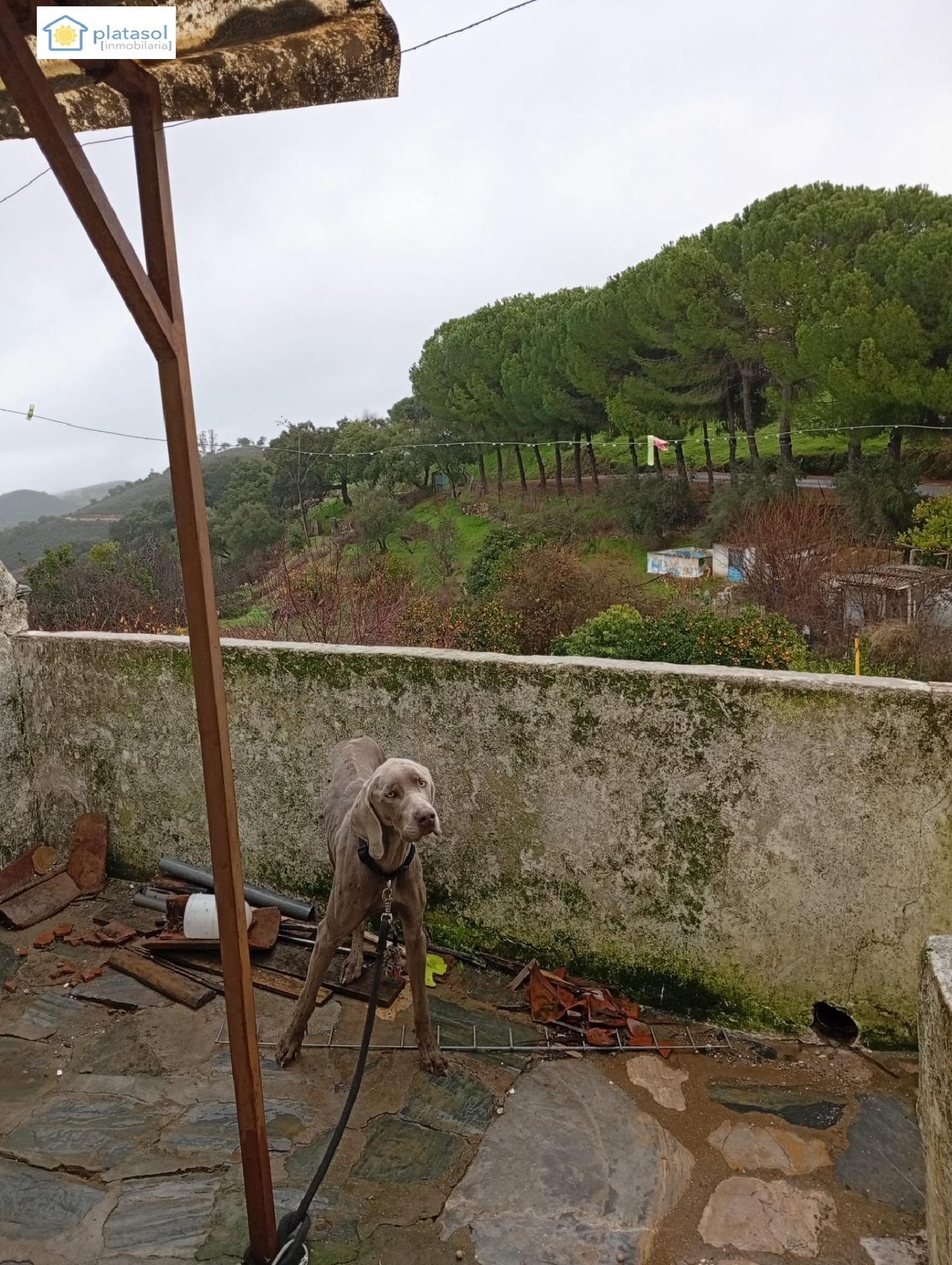  te koop huis Corteconcepción Sierra De Huelva 5