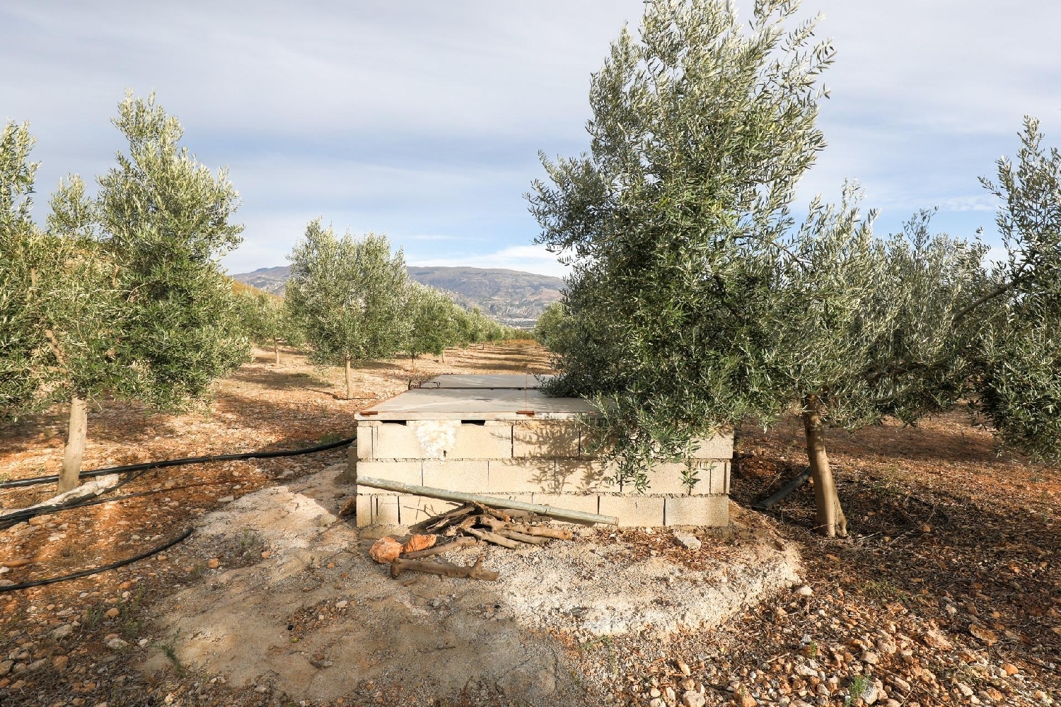  for sale house Cozvíjar Valle De Lecrín 7