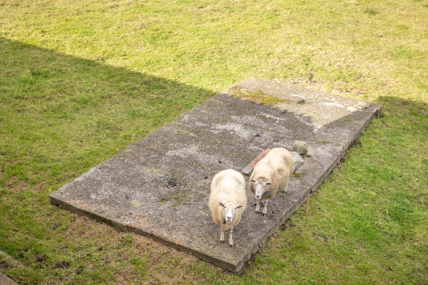 till salu hus Cudillero Avilés 2