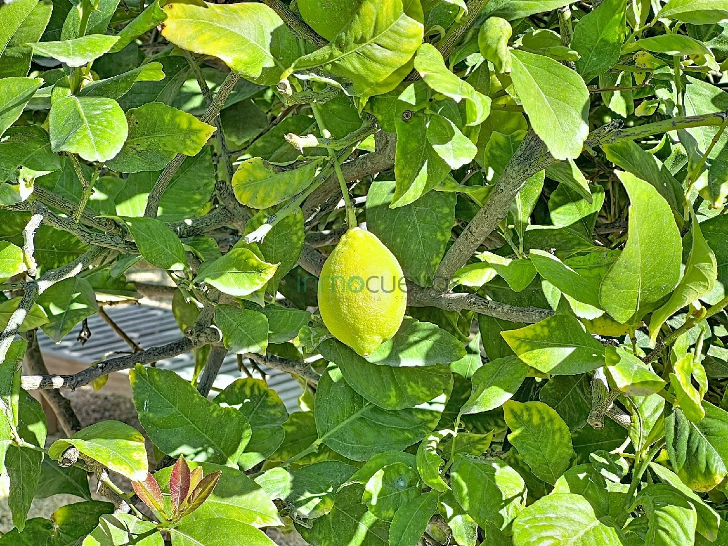  te koop huis Cuevas Del Almanzora Levante Almeriense 6