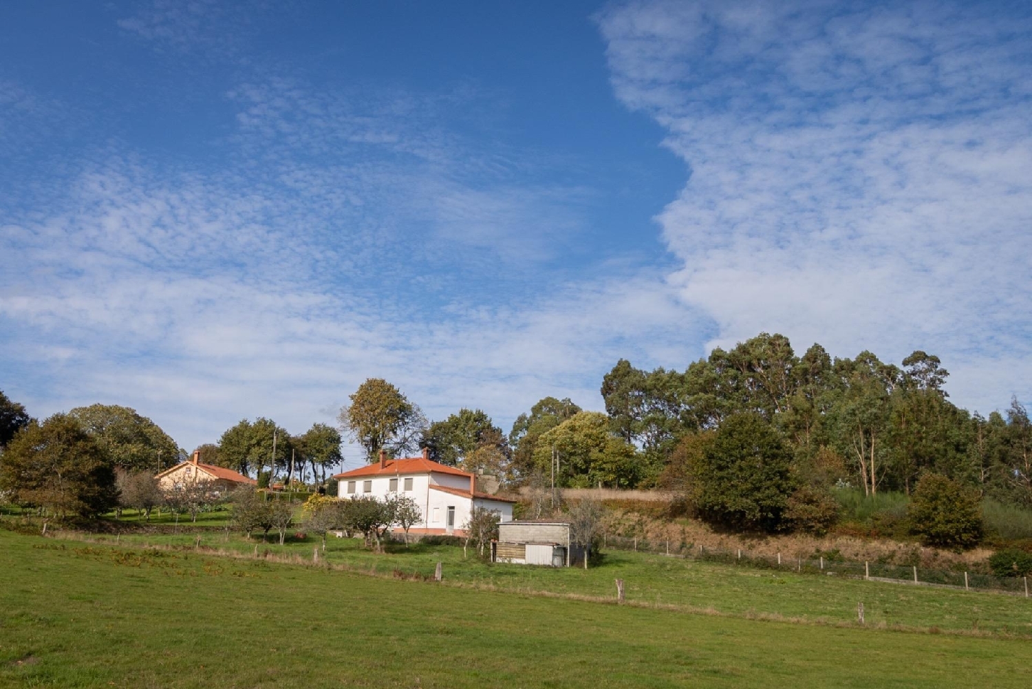 till salu hus Curtis Betanzos 5