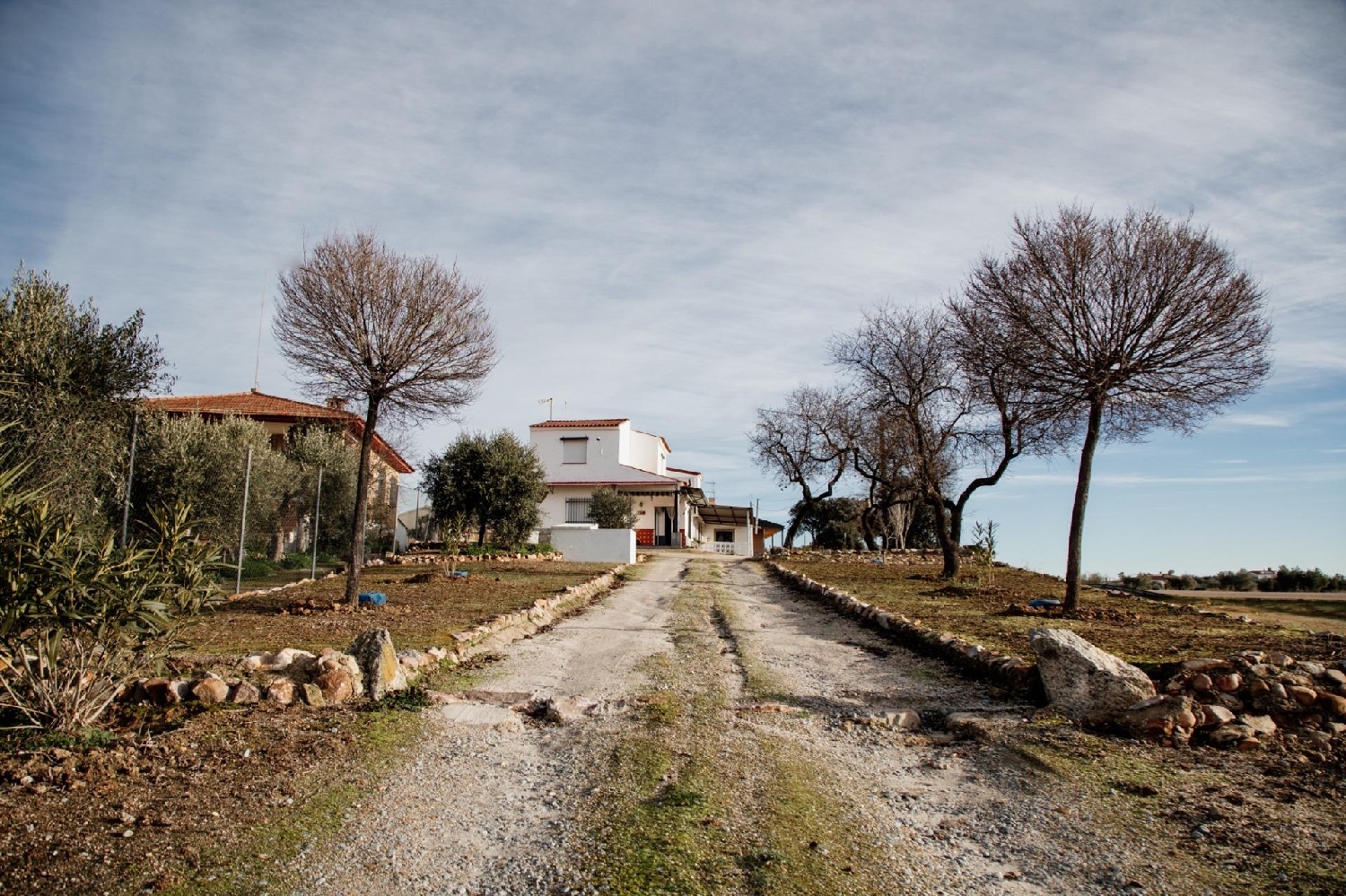  for sale house Don Benito Don Benito 4