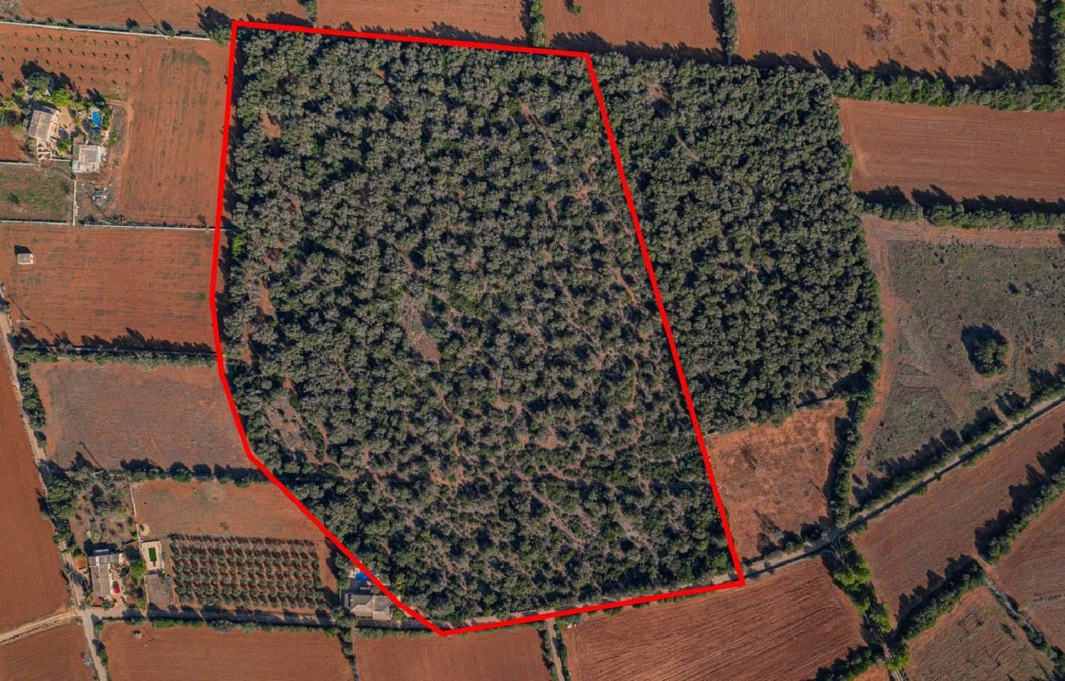  till salu hus Felanitx Sud 7