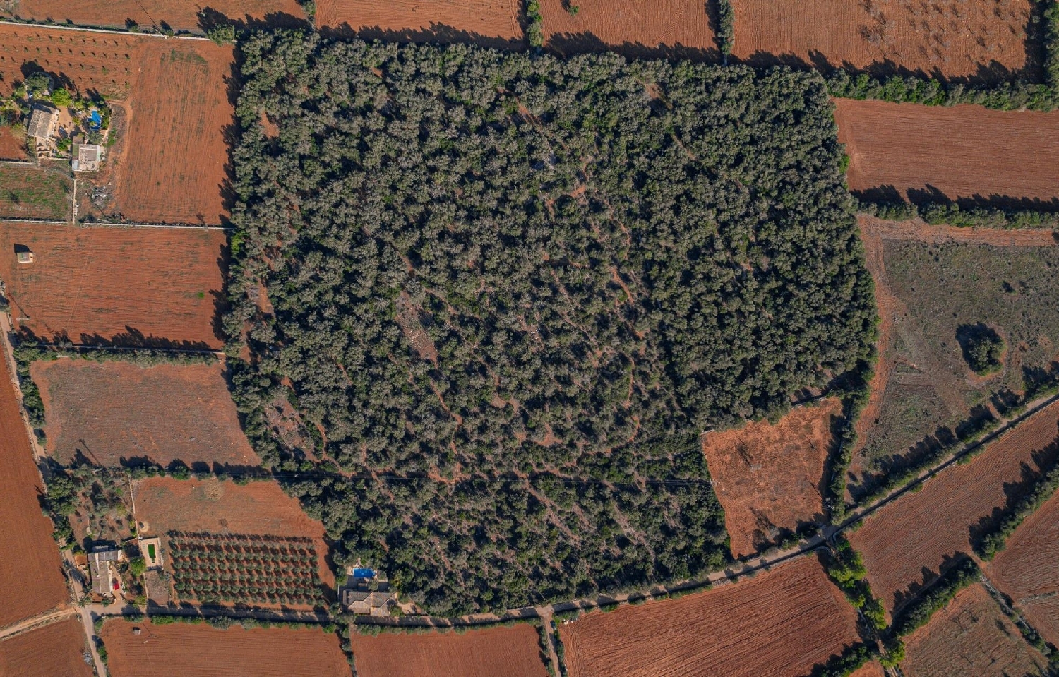  till salu hus Felanitx Sud 6