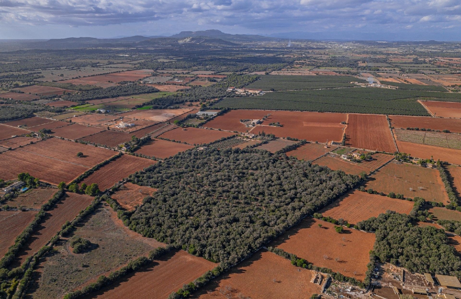  till salu hus Felanitx Sud 5