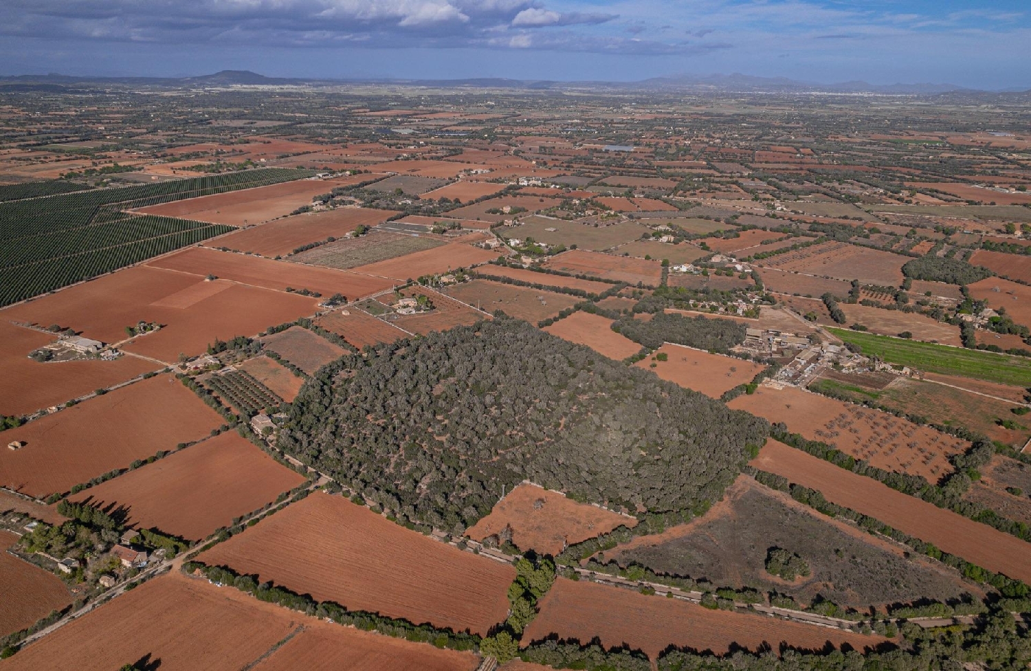  till salu hus Felanitx Sud 4