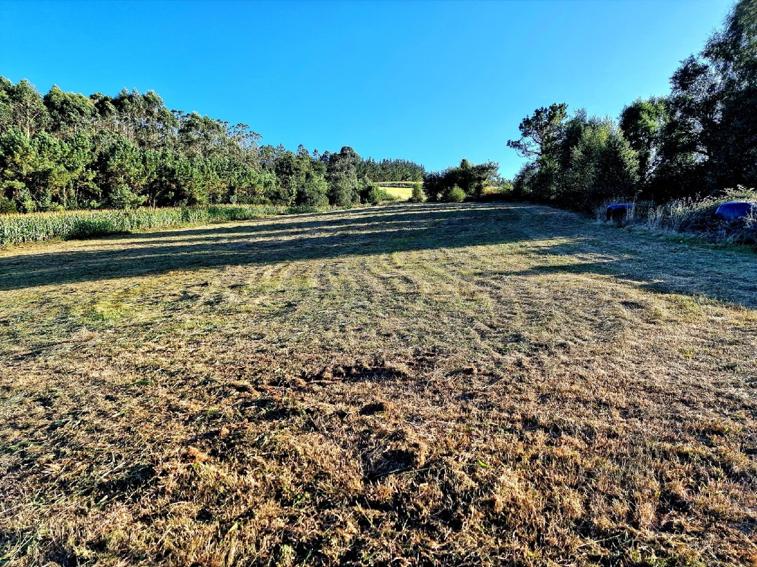  till salu hus Francos Barcala 7