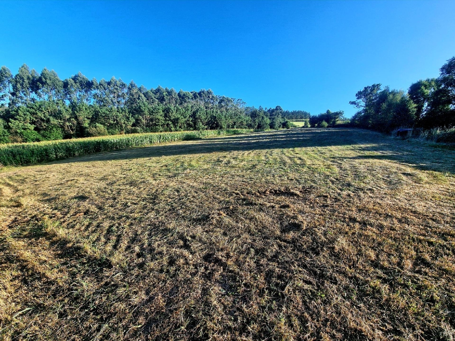  till salu hus Francos Barcala 8