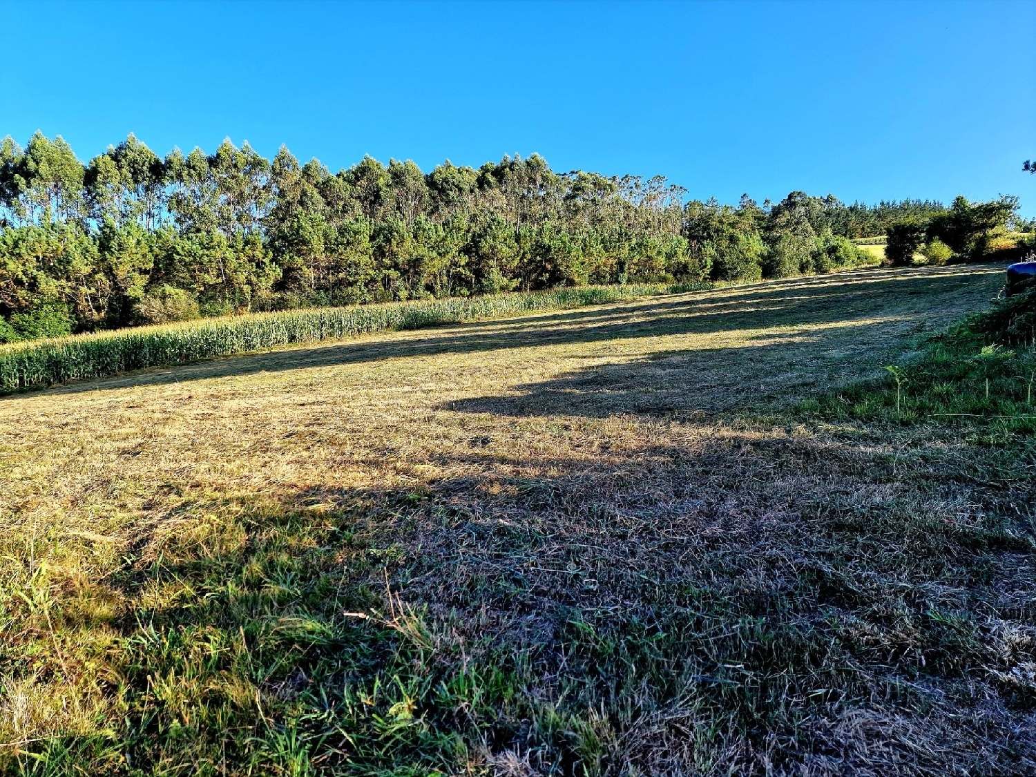  till salu hus Francos Barcala 2