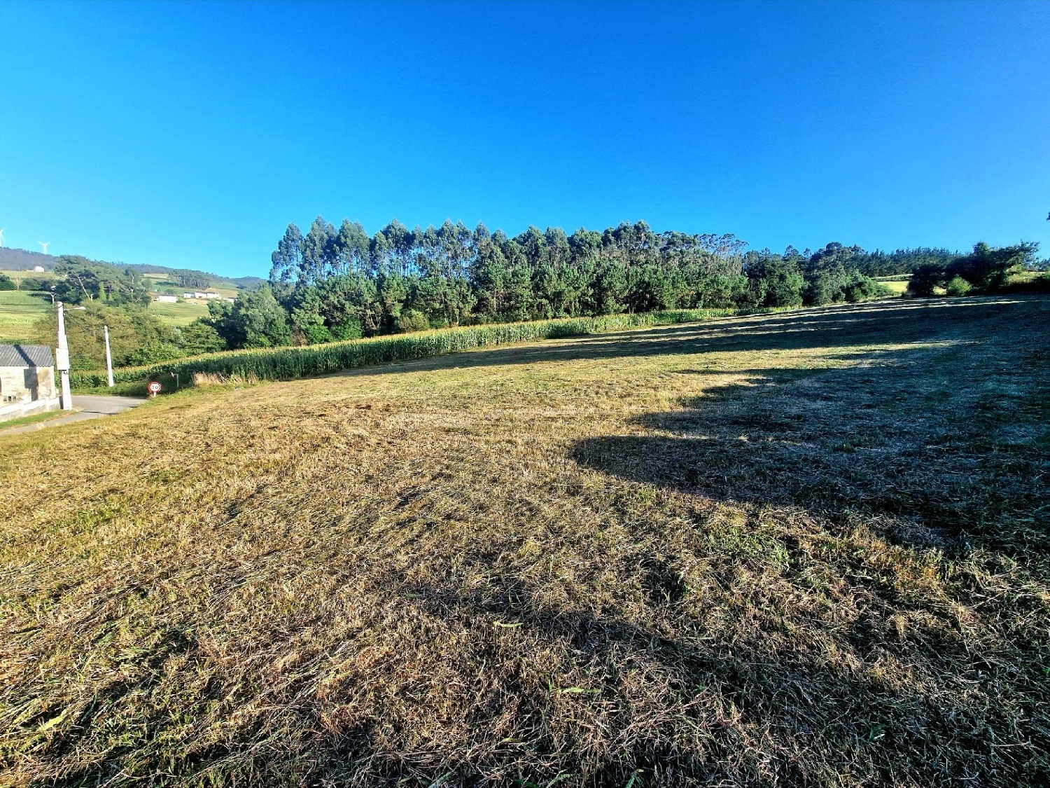  till salu hus Francos Barcala 5