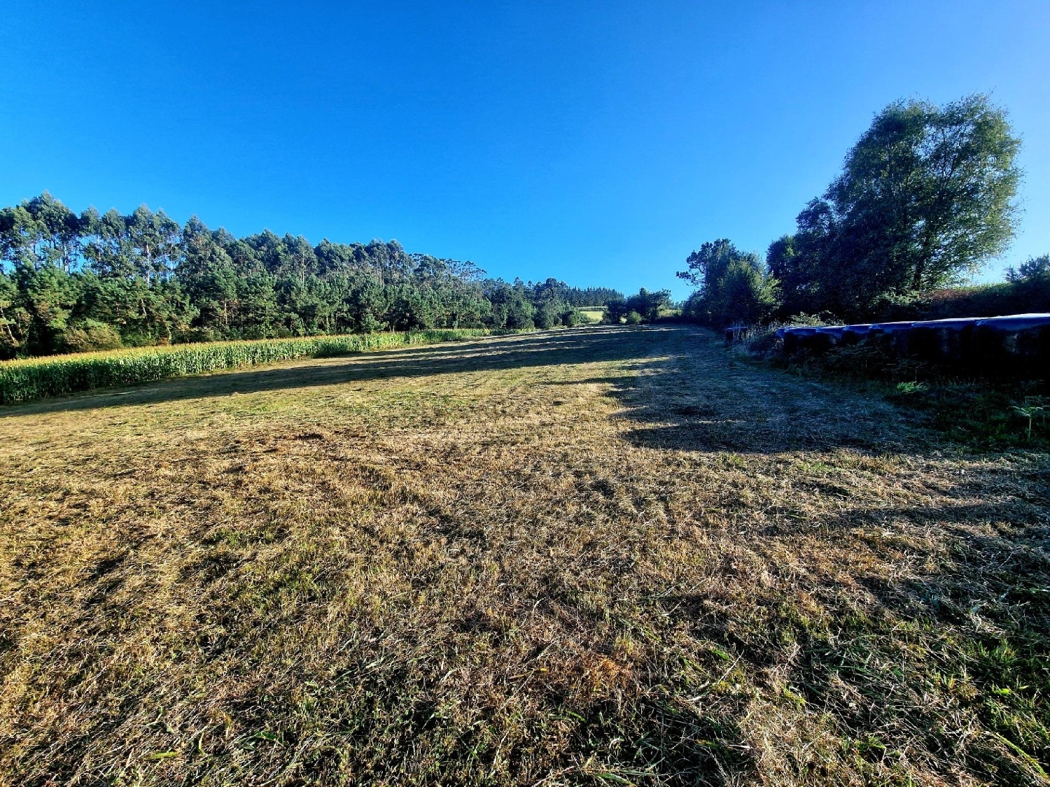  till salu hus Francos Barcala 4