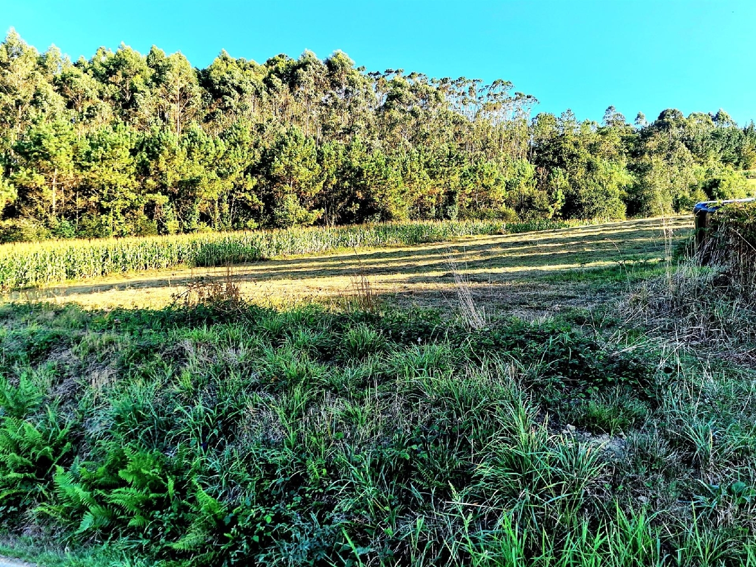  till salu hus Francos Barcala 1