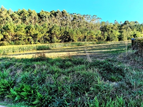 Francos Barcala hus foto 6330723