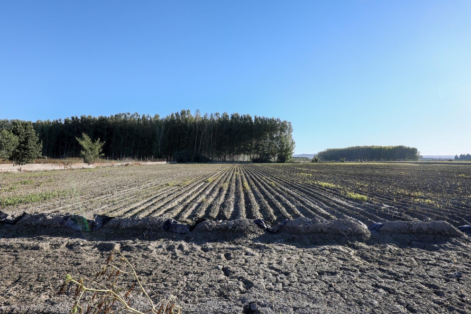 à vendre maison Fuente Vaqueros Vega De Granada 4