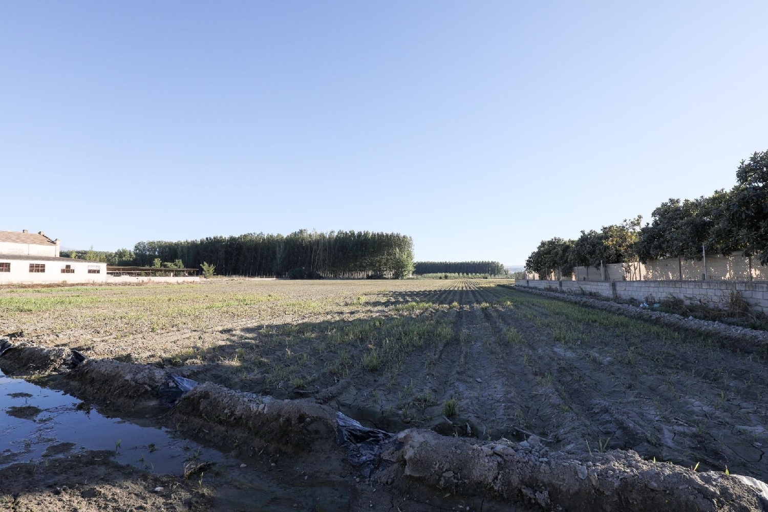 à vendre maison Fuente Vaqueros Vega De Granada 8