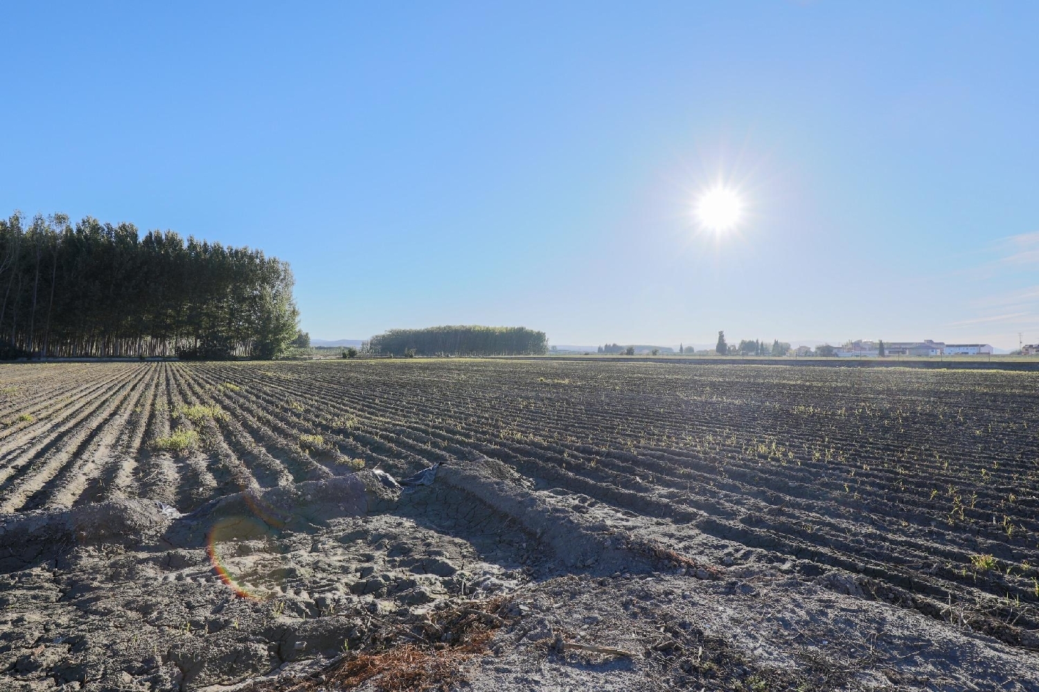 à vendre maison Fuente Vaqueros Vega De Granada 6