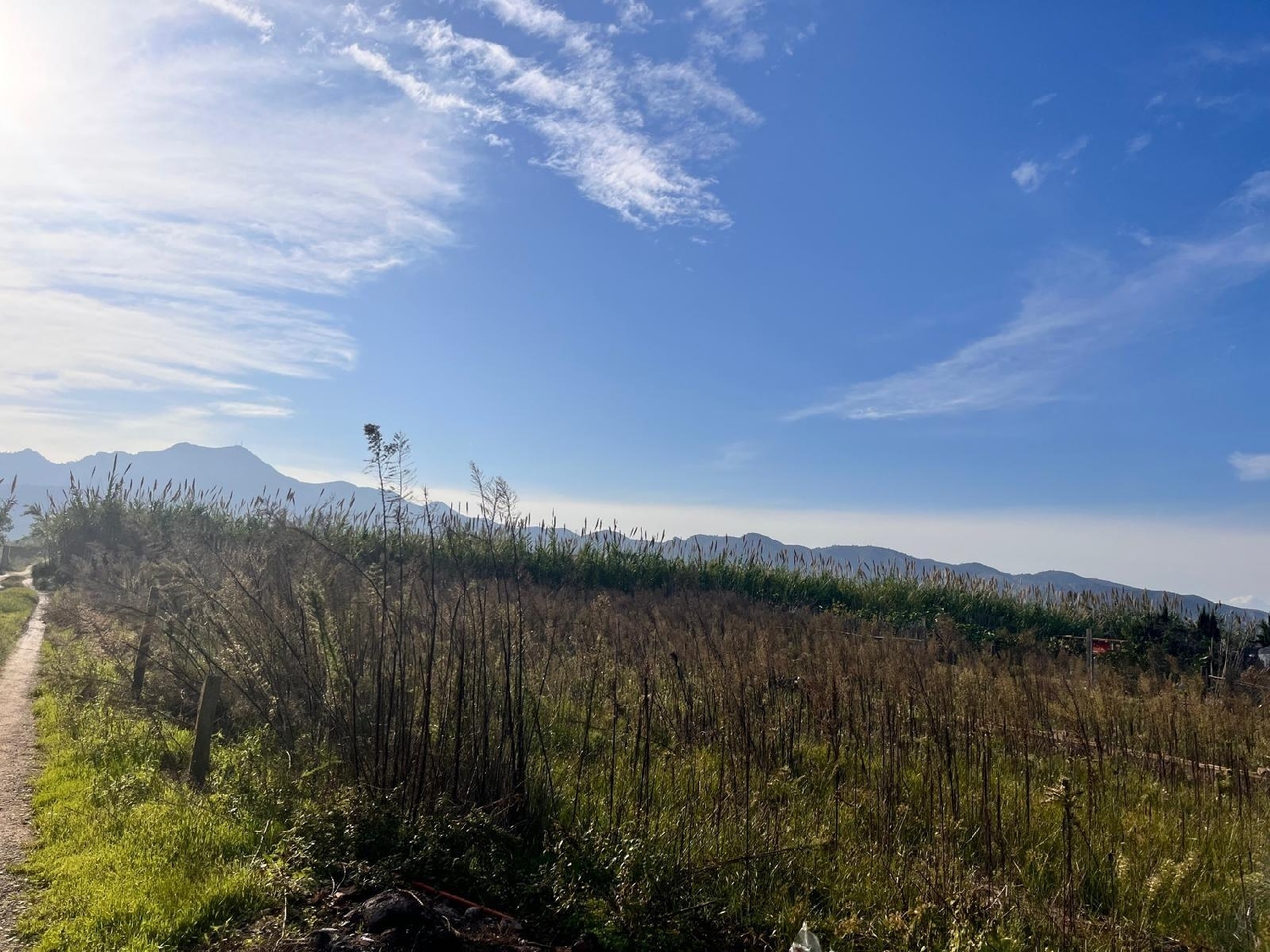  kaufen Haus Gandía 46701 Safor 7